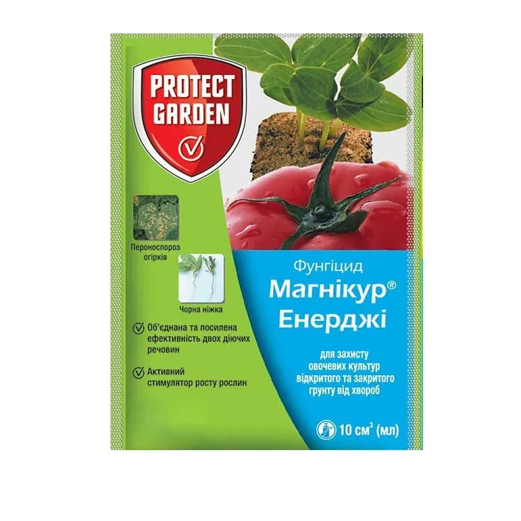Магнікур Енерджі